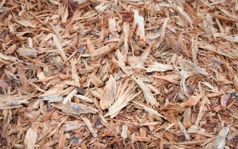 Wood-Mulch