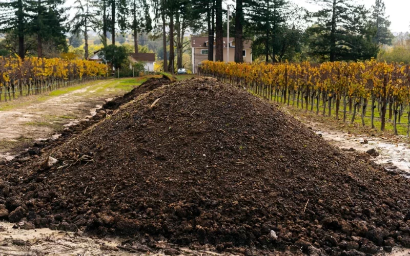 compost